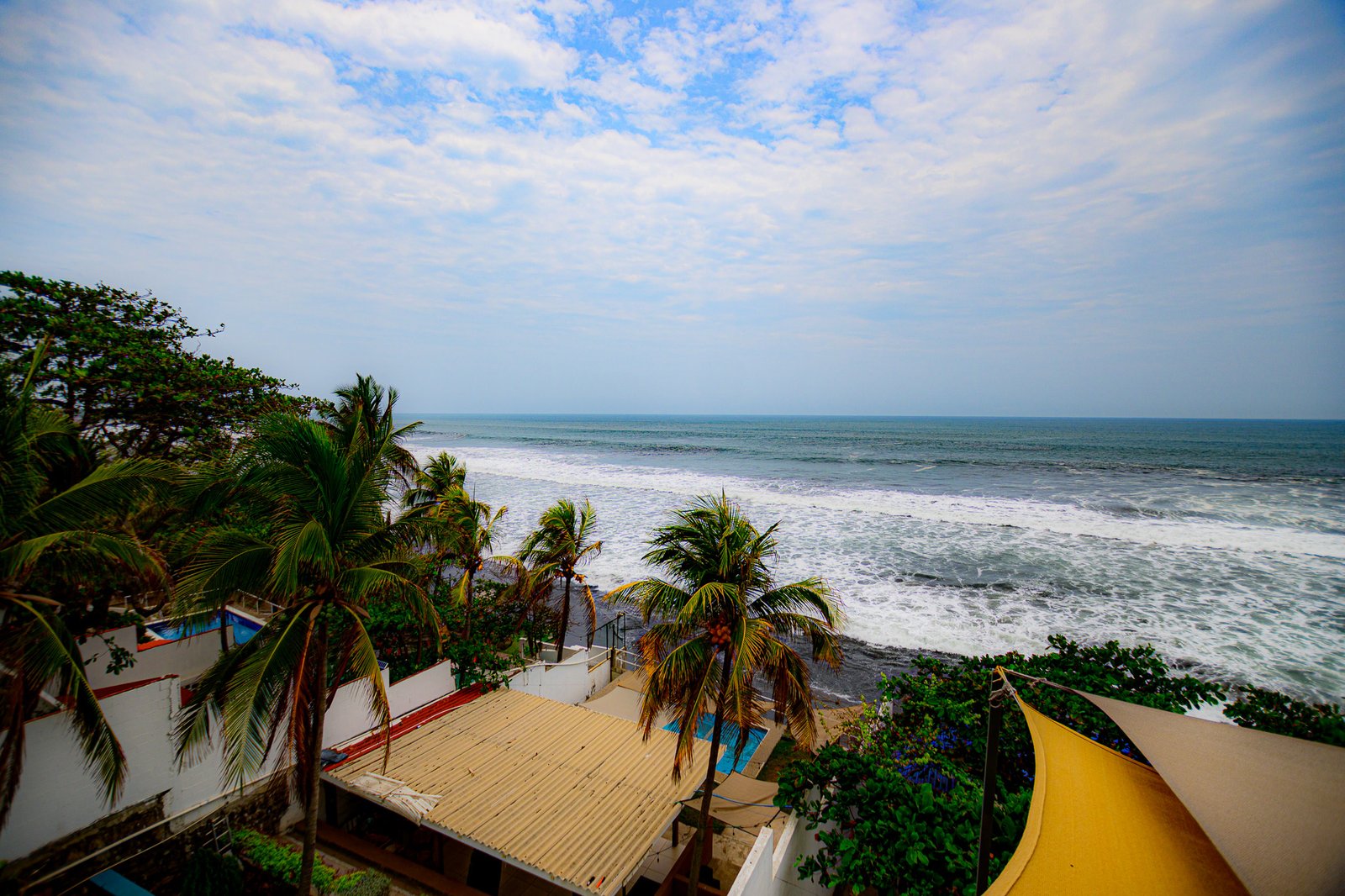 Pacific coast and palm trees in El Salvador