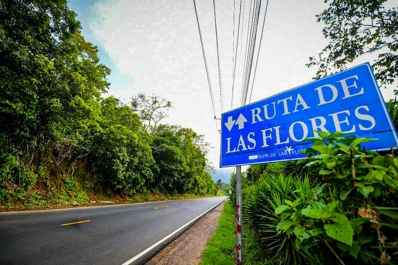 Ruta de las Flores road sign in El Salvador